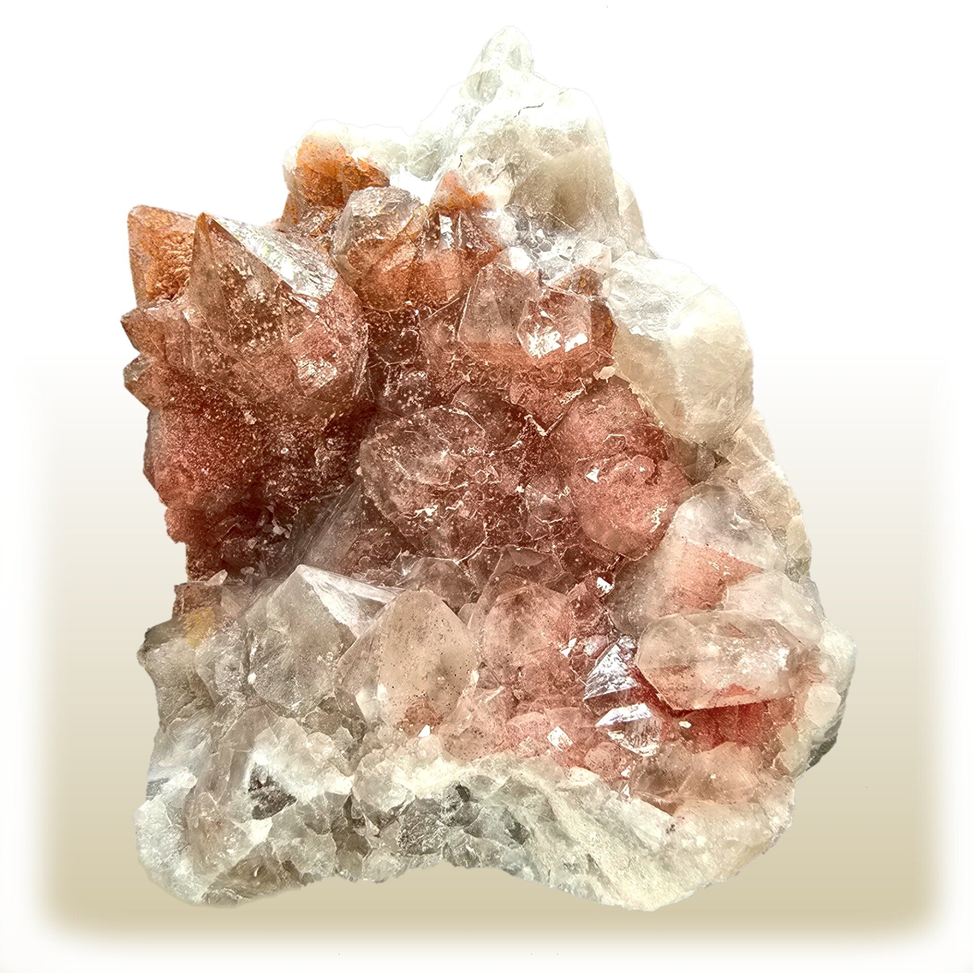 specimens en showstukken