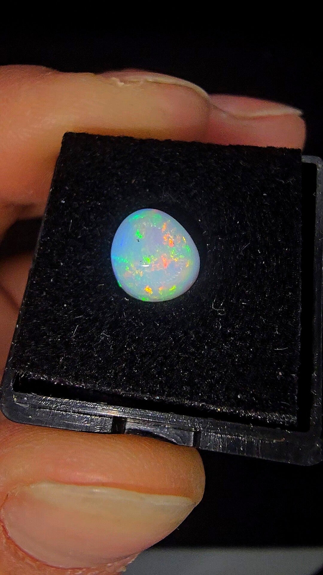 Ethiopische Opaal - 1.48 ct Full Color Cabochon