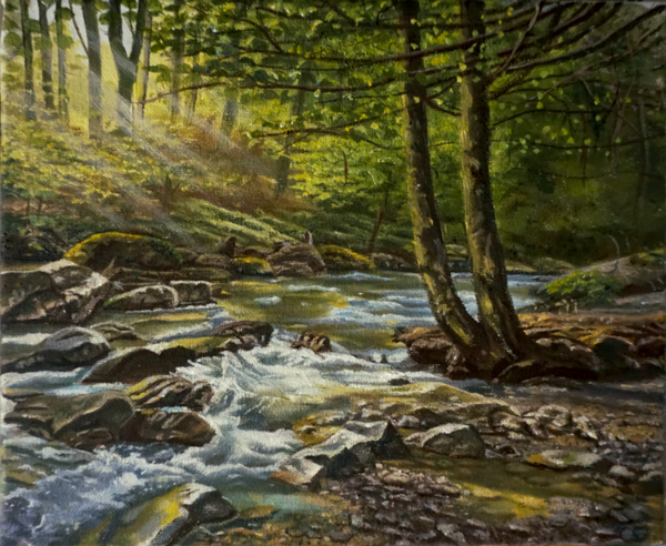 Forest Stream