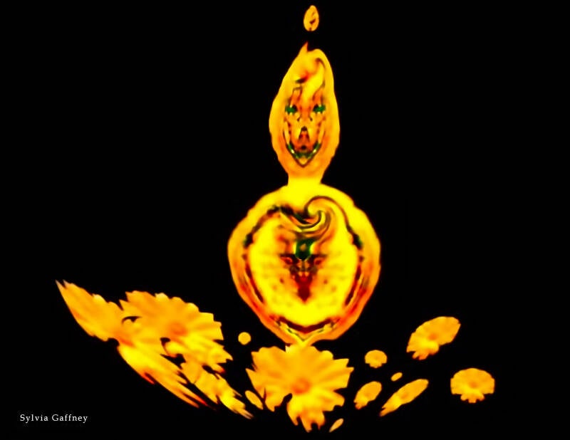 fleurella