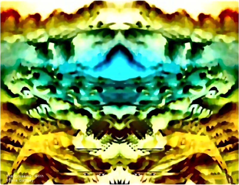 interwovenmoth