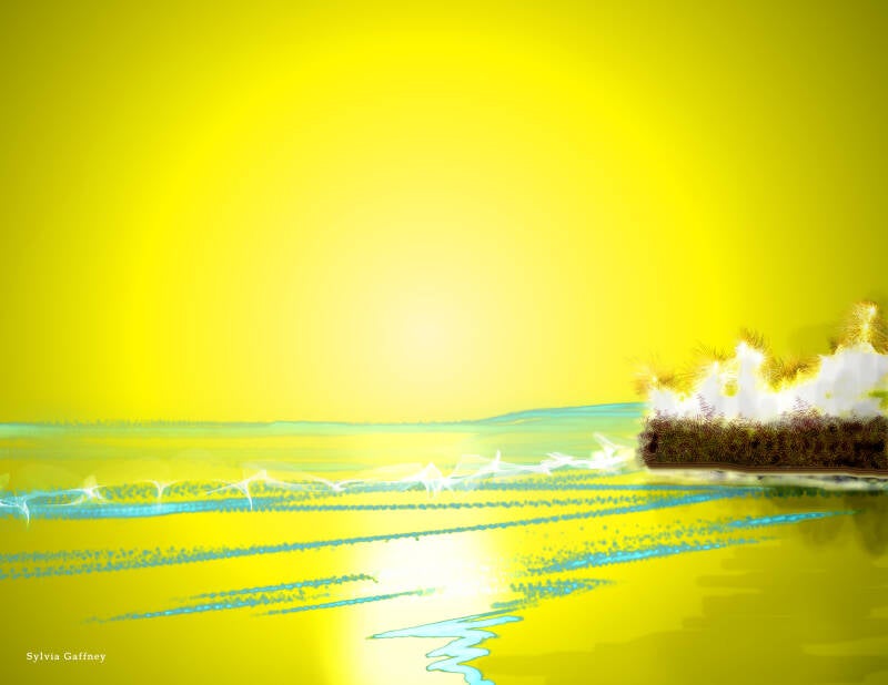 lemon-drop-bay