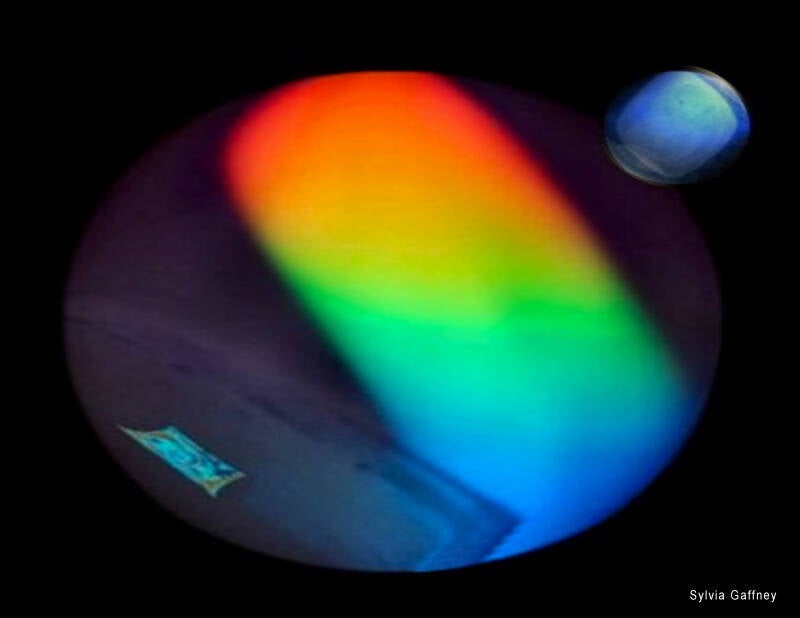 life-in-colour