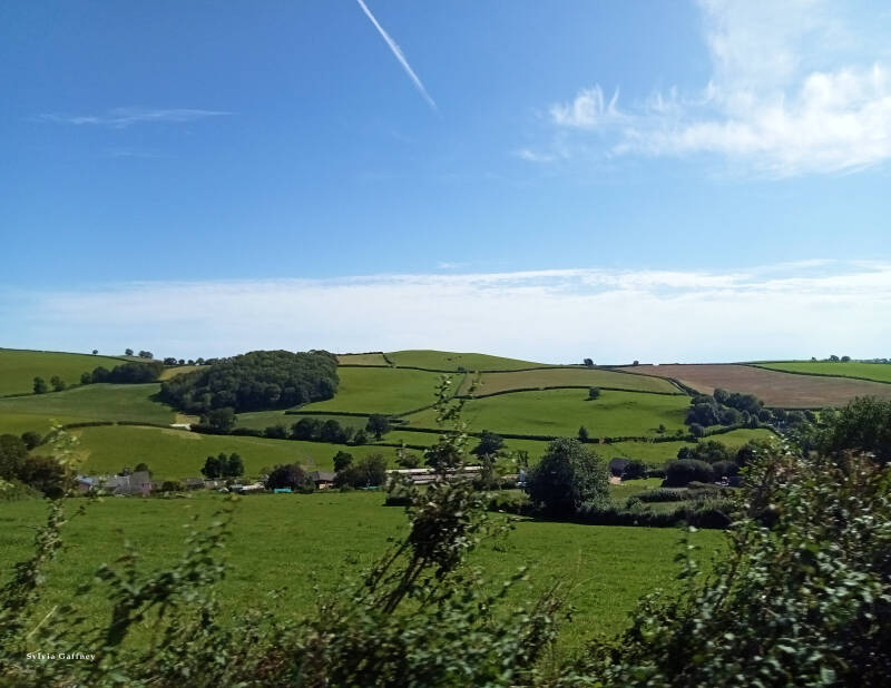 patchwork-views