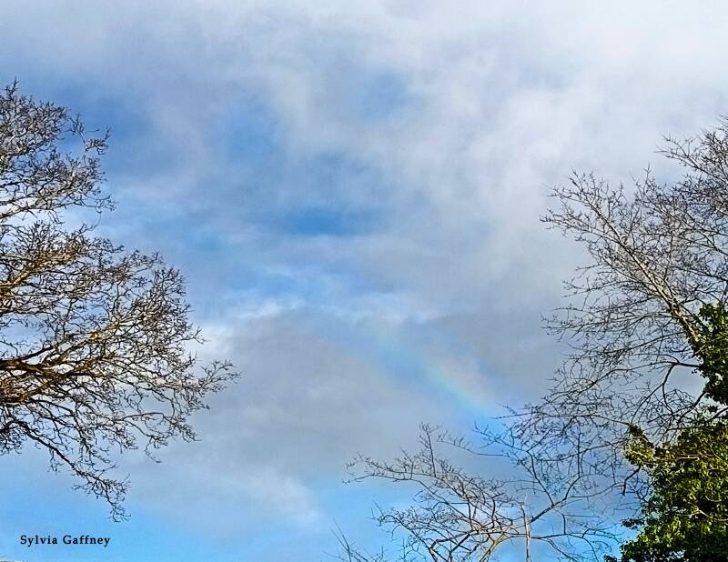 rainbow-smiles