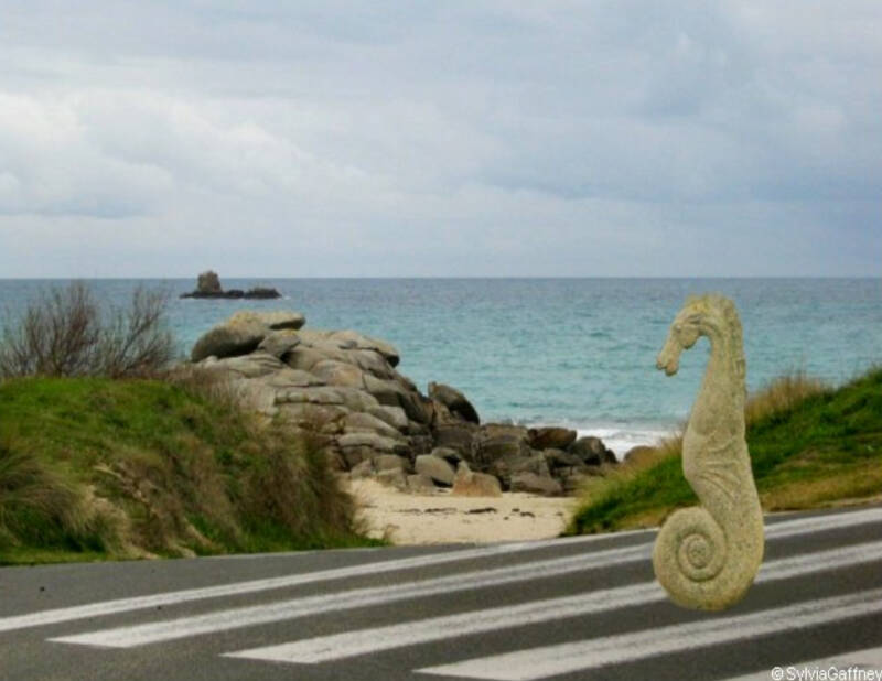 seahorse crossing