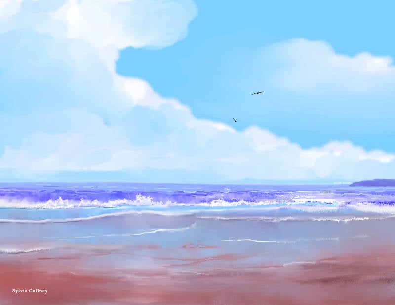 SeaSeen