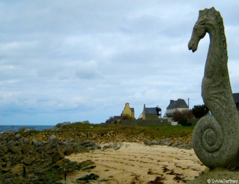 seehorse