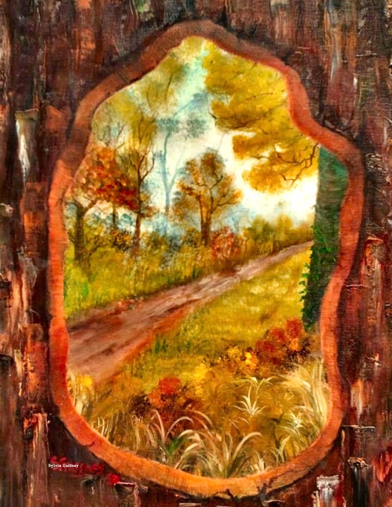 Through Bark 
