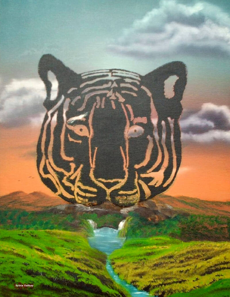 Tigers Eye 