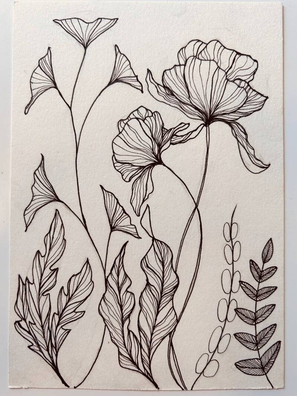 Botanisch Tekenen - Mini cursus