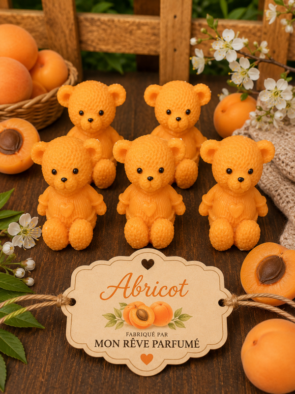 NOUNOURS ABRICOT