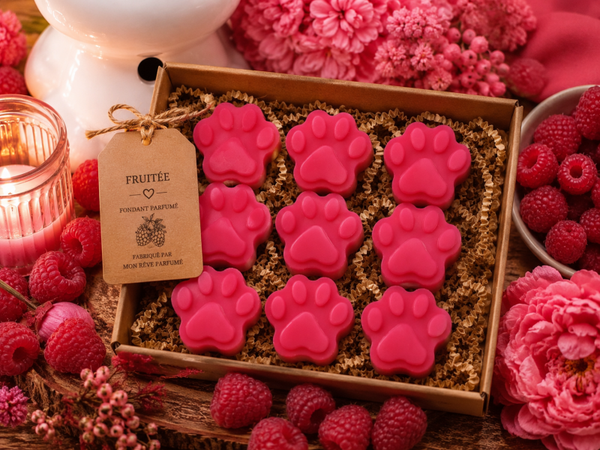 BOX DECOUVERTE FONDANTS FRUITES