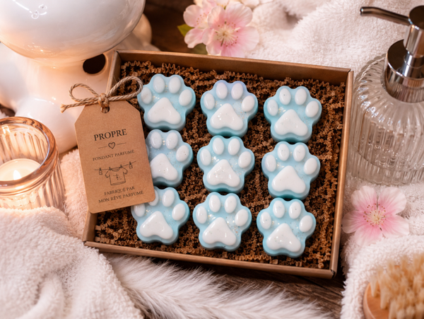 BOX DECOUVERTE FONDANTS PROPRES