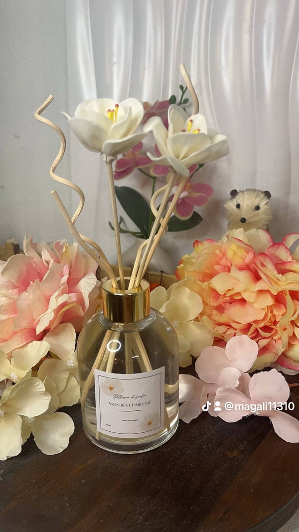 Diffuseur de tiges en 250ml