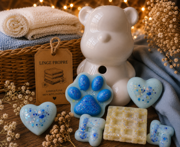 FONDANTS LINGE PROPRE