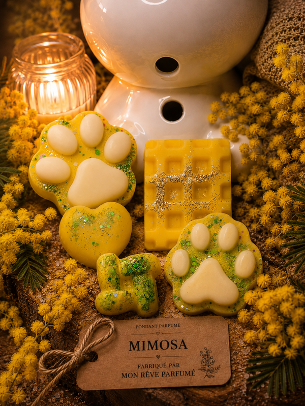 FONDANTS MIMOSA