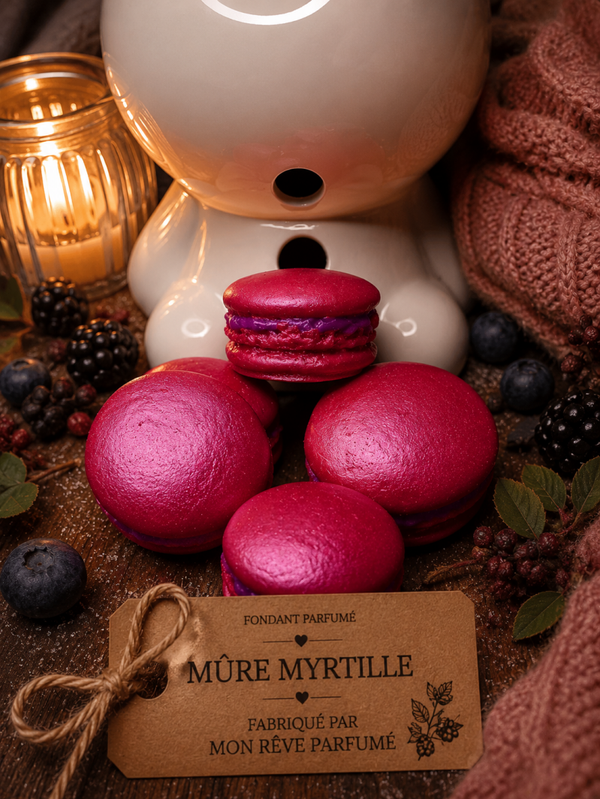 MACARON MURE MYRTILLE