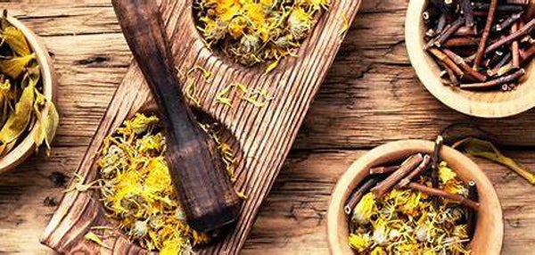 Holistic Consultation