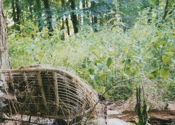 Fotografie von einer alten Bank, die im Wald steht.