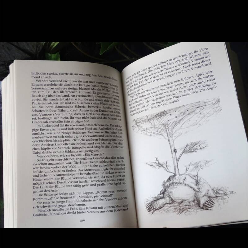 Eine Seite aus dem Fantasyroman Im Land der Vergessenen von Josi Saefkow