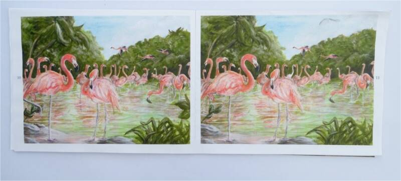 Flamingos an einem See. Doppelseite eines Finde den Fehler Buches. Von Josi Saefkow