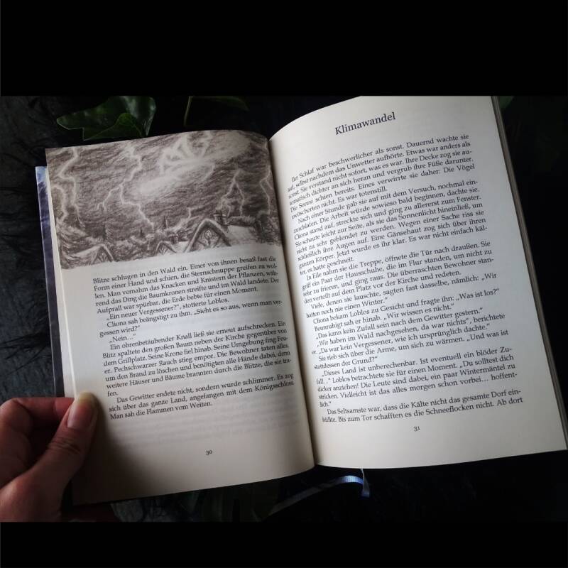 Eine Seite aus dem Fantasyroman Im Land der Vergessenen von Josi Saefkow