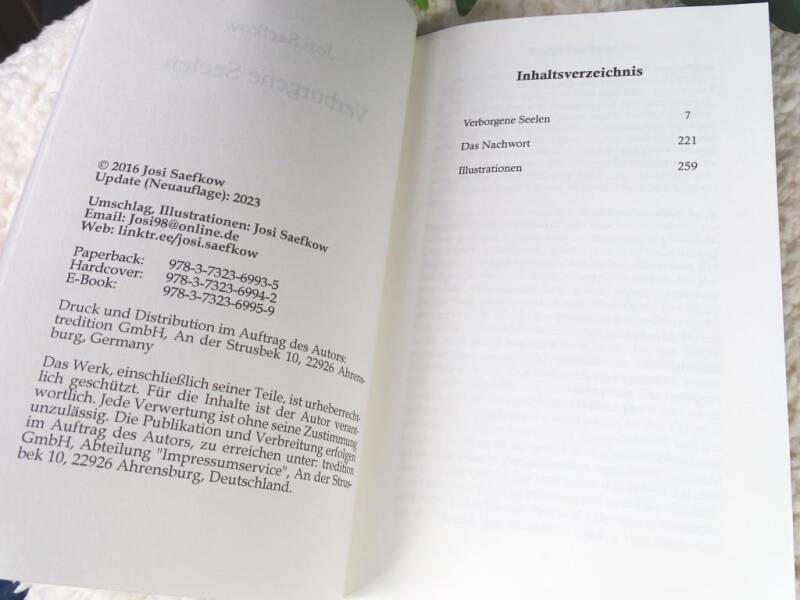 Verborgene Seelen, Seite, Josi Saefkow, Fantasyroman