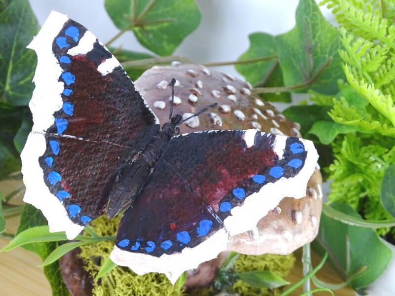 Schmetterling Butterfly Skulptur, Josi Saefkow, Diorama, realistisch, Insekt