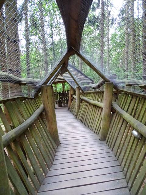 ein Steg in einem Tierpark. Bedeckt mit Gitter. Mit Zaun aus Holz.