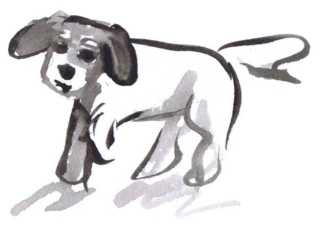 Naturstudie eines Hundes. Von Josi Saefkow. Gemalt mit Feder, Pinsel und Aquarell