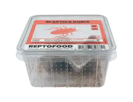 Dubia´s bakje middel