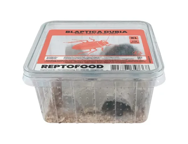 Dubia´s bakje volwas