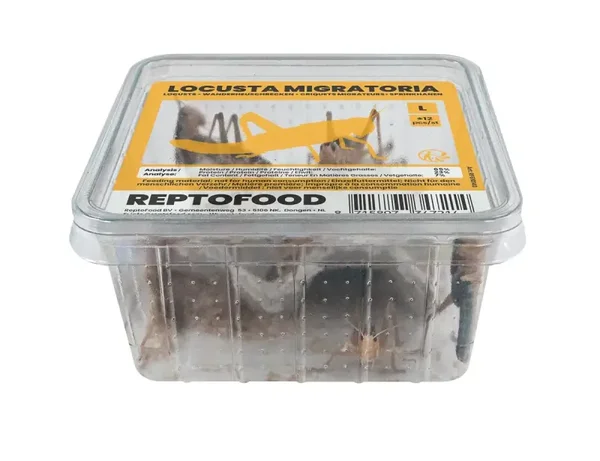 Sprinkhaan bakje halfwas