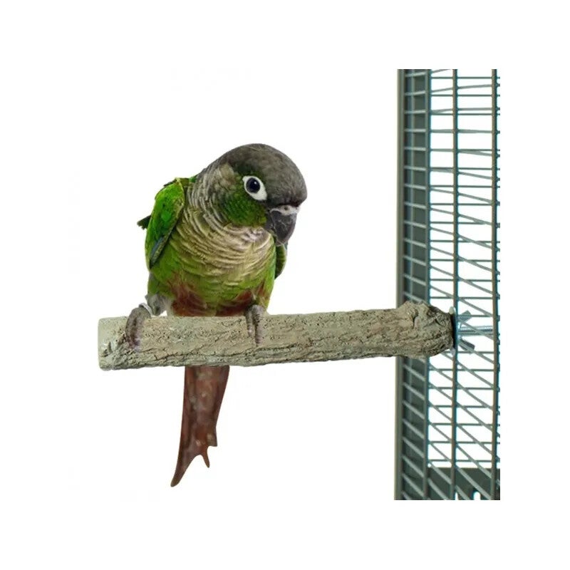 Back Zoo Nature SuperStone Grote Parkiet S/M 15cm