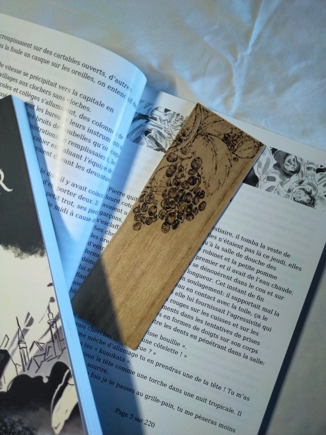 Raisins de Dionysos - Trauben von Dionysos