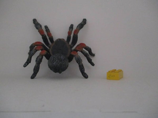 Bullyland  Rotknie - Vogelspinne Tarantel  Mexican red knee tarantula