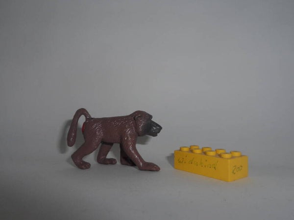 Pavian   baboon     Affe   monkey