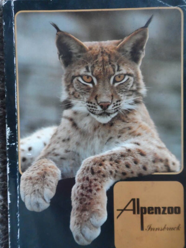 Zooführer Zooheft Guide   Alpenzoo Innsbruck   1989