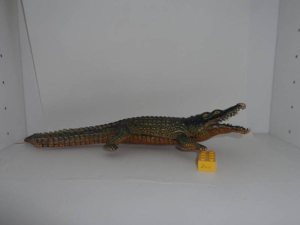 Krokodil   Alligator    crocodile
