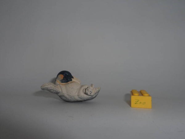 AAA Pinguinküken Pinguin Jungtier  penguin Chick 2