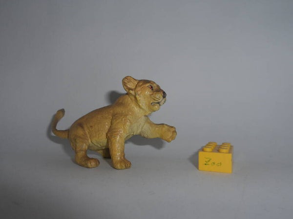 AAA Löwenjunges Löwenjungtier Löwe  lion cub 1