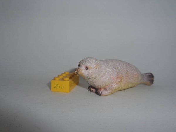 AAA Sattelrobbe - Heuler  Jungtier    Harp seal cub