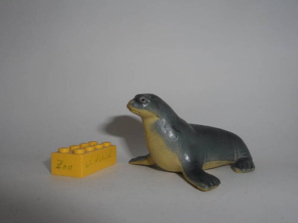 AAA  Seelöwen - Jungtier     Sea lion cub