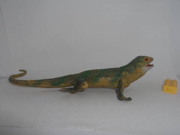AAA   Chinesische Wasseragame      chinese water dragon