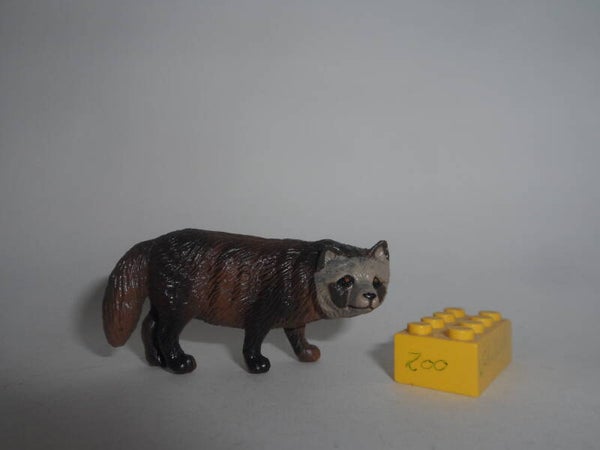 Playvisions  Marderhund  raccoon dog
