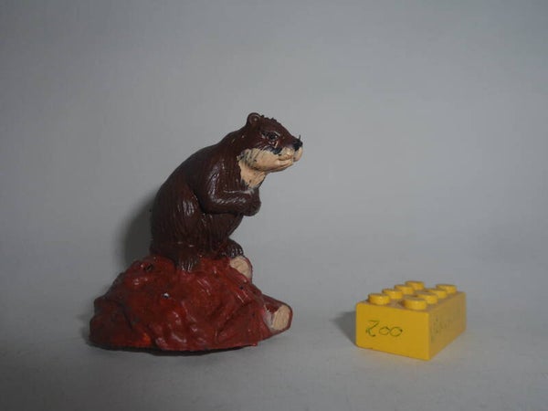 K&M  Nordamerikanischer Biber   american beaver   1