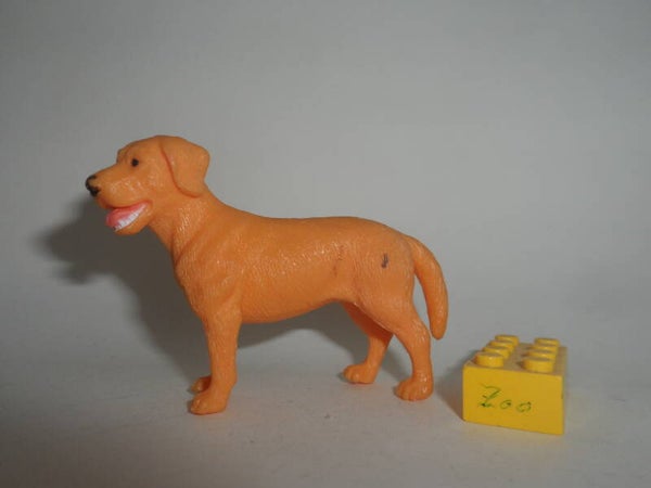 Tree House Kids  Hund  Golden Retriever    dog