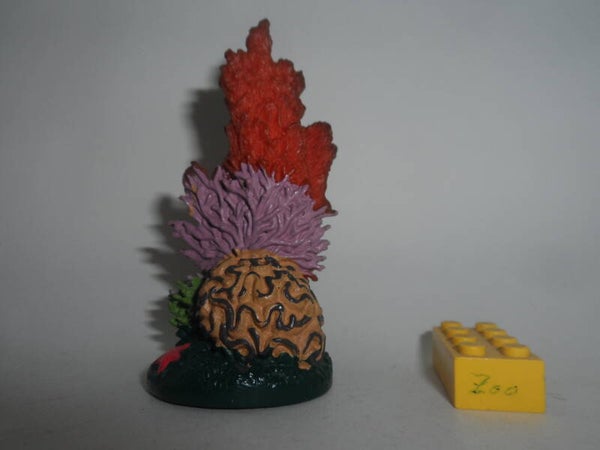 K&M  Koralle    coral