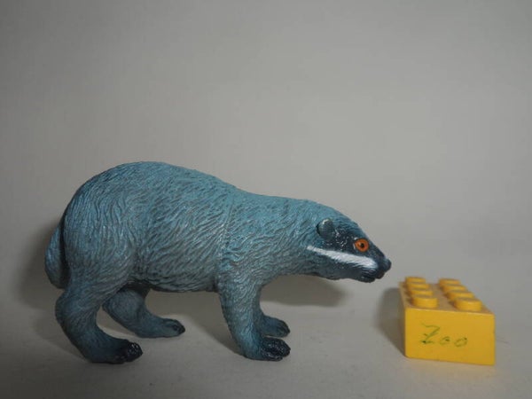 Nayab  Dachs   Badger